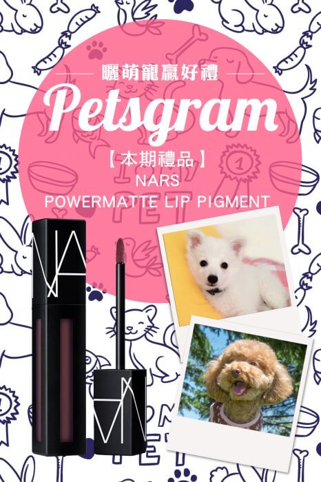 foody&pets35
