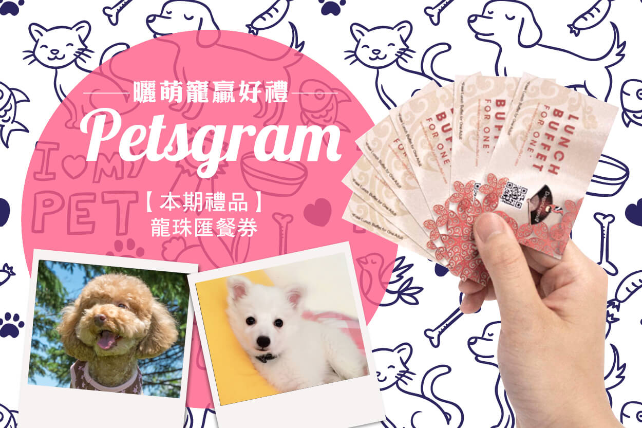 pet-1250x833_2b