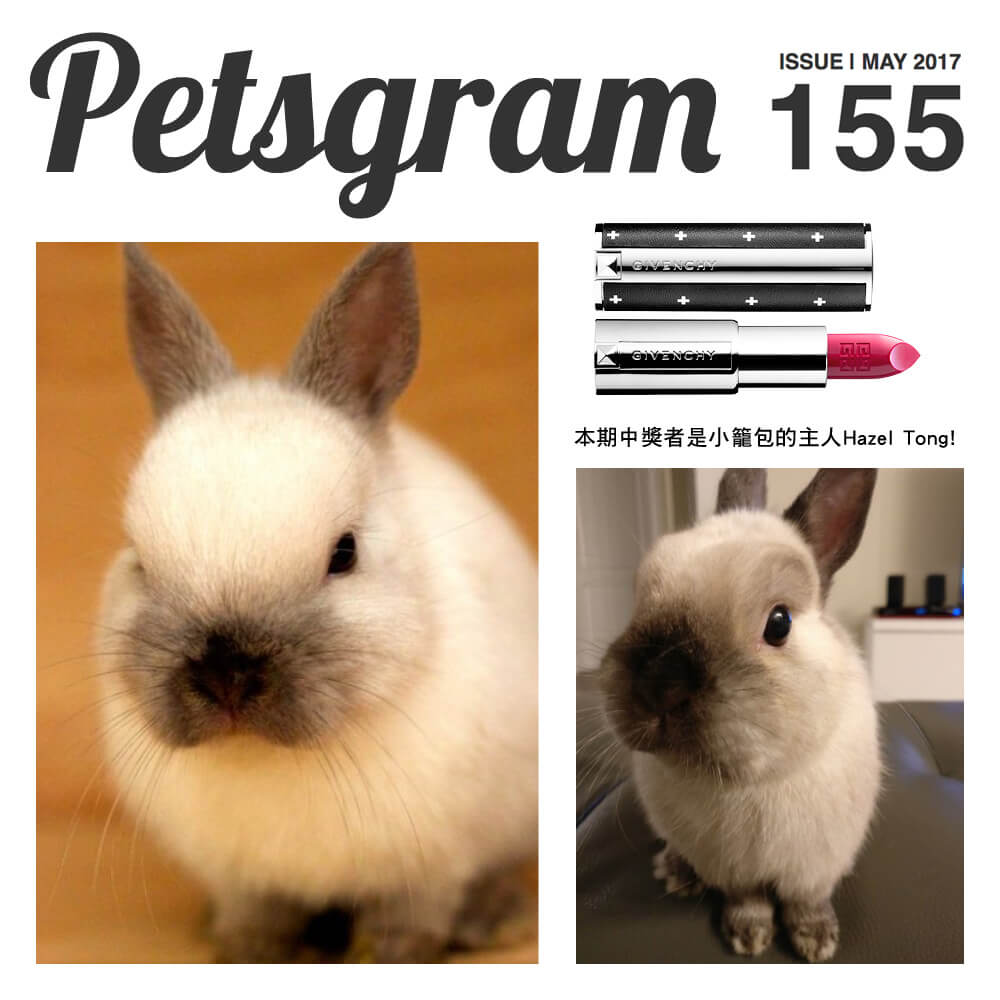 winner_pet