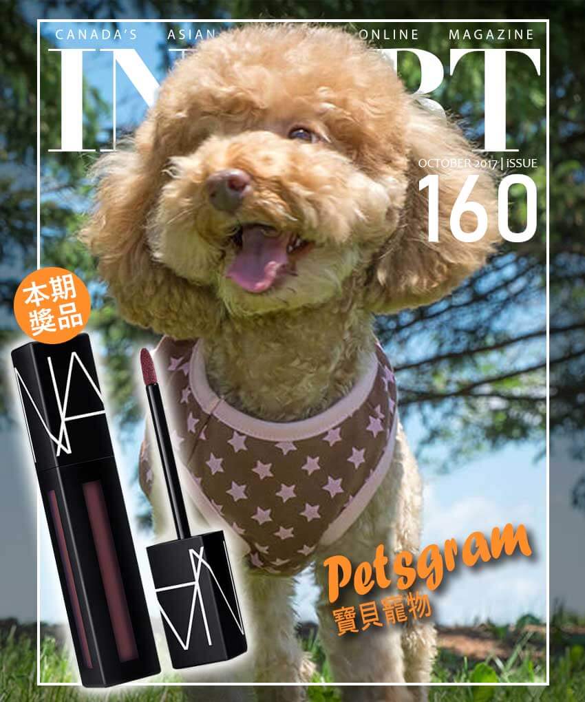 Petsgram_Top_Banner_Mobile Petsgram_Top_Banner_Mobile