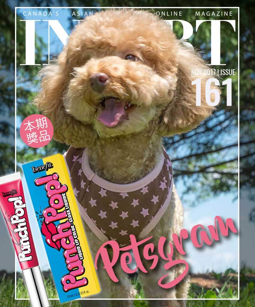 Petsgram_Top_Banner_Mobile Petsgram_Top_Banner_Mobile