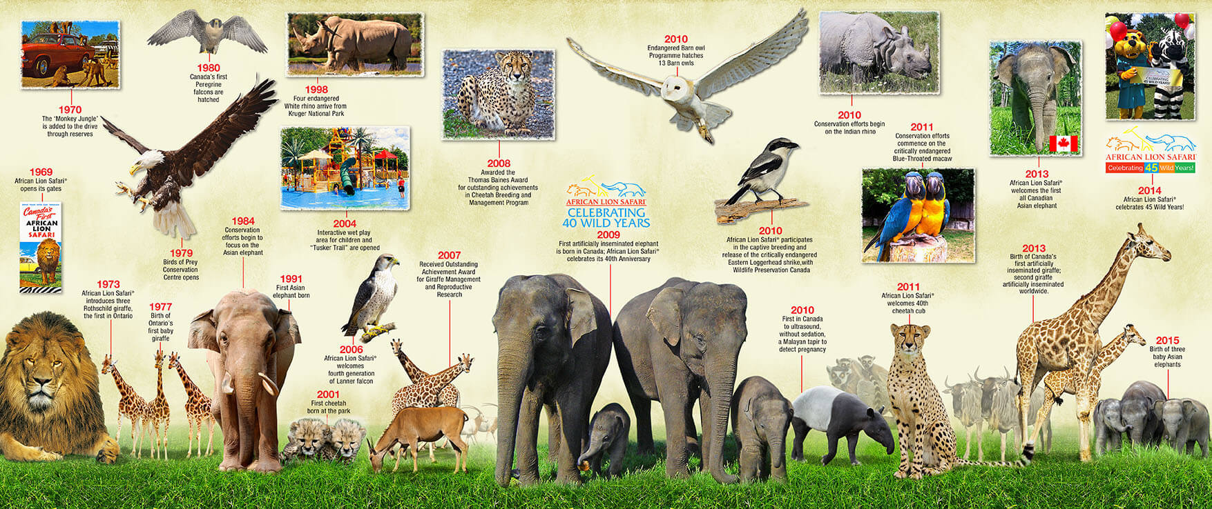 African Lion Safari 50週年 | 與動物一起狂歡體驗零距離接觸! African Lion Safari 50週年 | 與動物一起狂歡體驗零距離接觸!-lifestyle-
